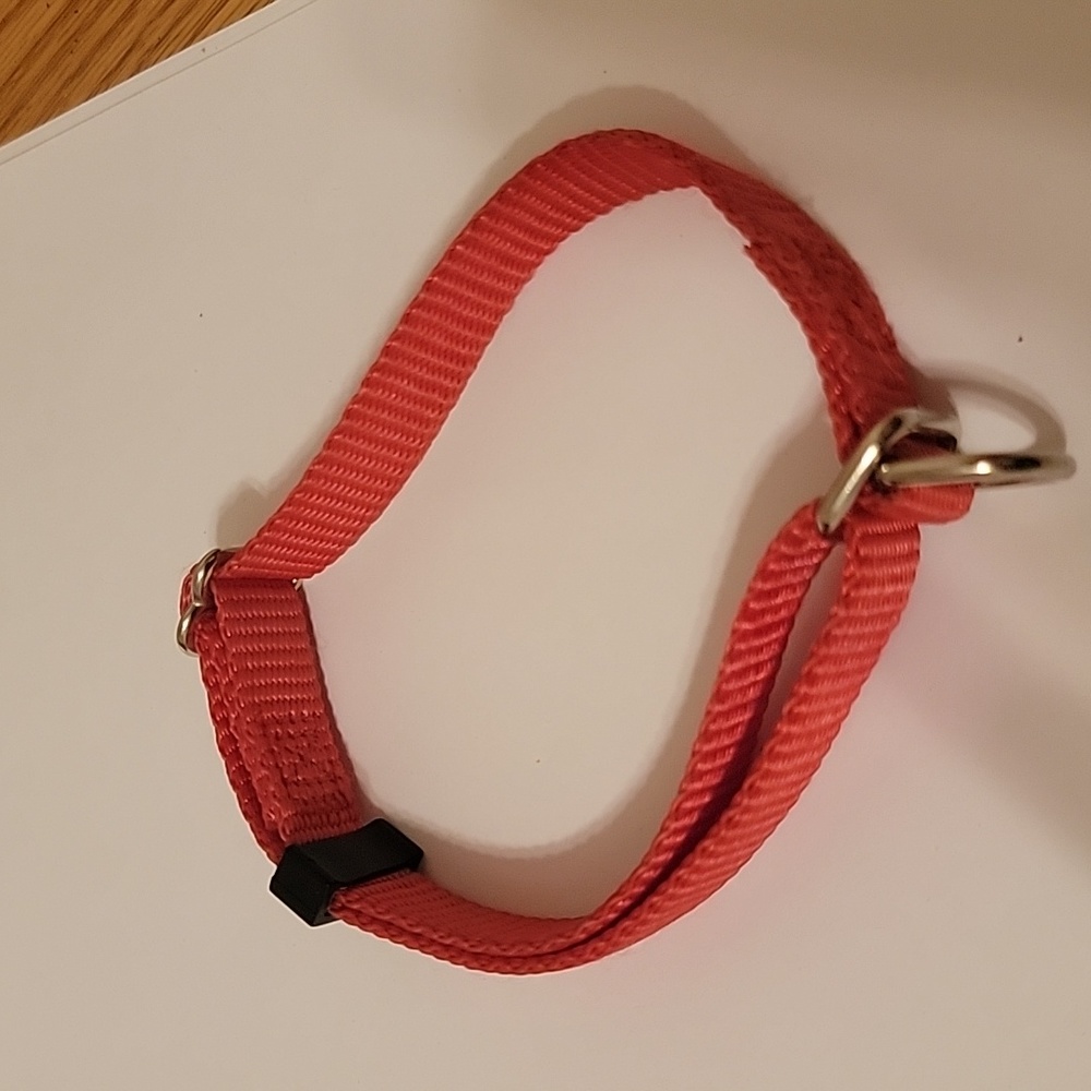 COLLAR DOG